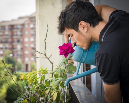 Young Man Watering Plants on Apartment Balcony