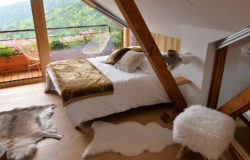 GÏTE HAUT D E GAMME EN MONTAGNE ALSACE