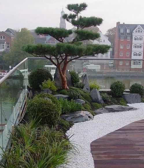 jardin-japonais-terrasse