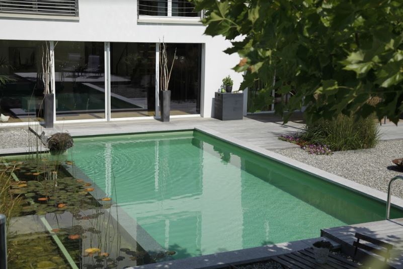 piscine-biologique