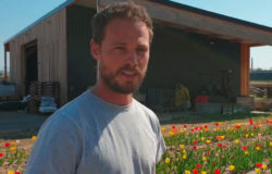 La ferme du Château de Pfastatt, une exploitation agricole bio qui propose des fruits et légumes de saison ! Rencontre avec Sylvain, le responsable d'exploitation.