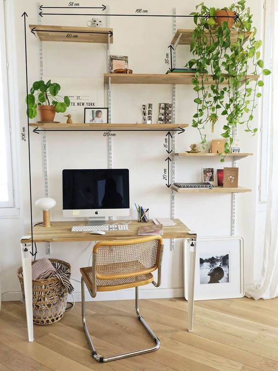 bureau-plantes