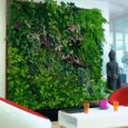 98512e599e_99682_mur-vegetal-interieur