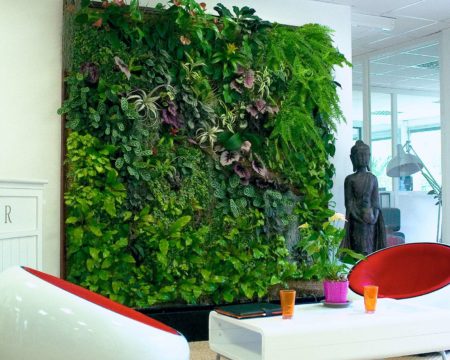 Un aménagement d'intérieur orignal avec le mur végétal ! Isolation phonique, assainissement de l'air... Des avantages pour une déco unique avec des bienfaits !