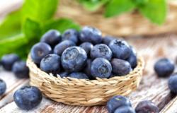 Focus sur le le régime acido-basique, pour un bien-être au quotidien avec des aliments acides et basiques bio, grâce à notre partenaire.