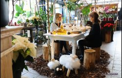 Ma Maison & Nous - La Serre (148) (Copier)