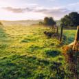 Découvrez les avantages de vivre à la campagne, hors de l'Alsace.