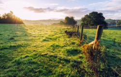 Découvrez les avantages de vivre à la campagne, hors de l'Alsace.