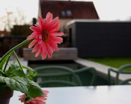 Focus sur les pénuries dans l'industrie du bâtiment suite au COVID.