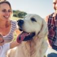 Happy family with dog