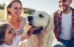 Investissez en sécurité avec nos conseils du blog sur le prêt immobilier actuel.