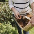 Using Coffee as Compost