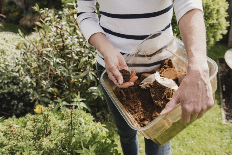 Le compost au jardin : bon pour les plantes, pour le potager et