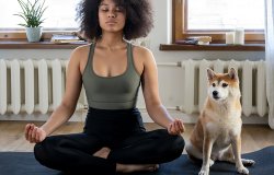 Focus sur la méditation, ses bienfaits et sa pratique. Une pratique zen et efficace.