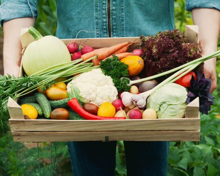 Farmer holding a basket full of harvest organic autumn vegetables.