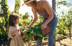 Les aménagement d'extérieurs tendances avec du mobilier outdoor design et naturel.