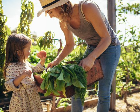 Mother and daughter with fresh vegetable in farm