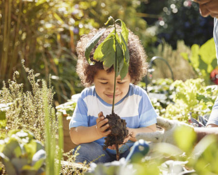 Grandmother and cute little boy gardening outdoors