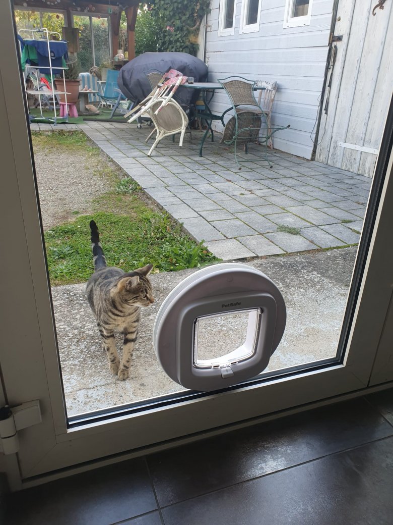 Installer Une Chatiere Dans Une Porte Ou Une Porte Fenetre Comment Faire Ma Maison Et Nous