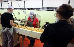 Les fêtes de fin d'années, c 'est avant tout des instants de plaisir e de gourmandise. Le chocolat trouve toujours plaisir à offrir. Direction le chocolatier Grimmer proche de Colmar