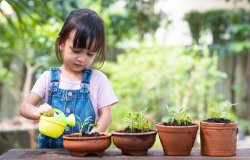 recherche maison avec terrain proche de mulhouse