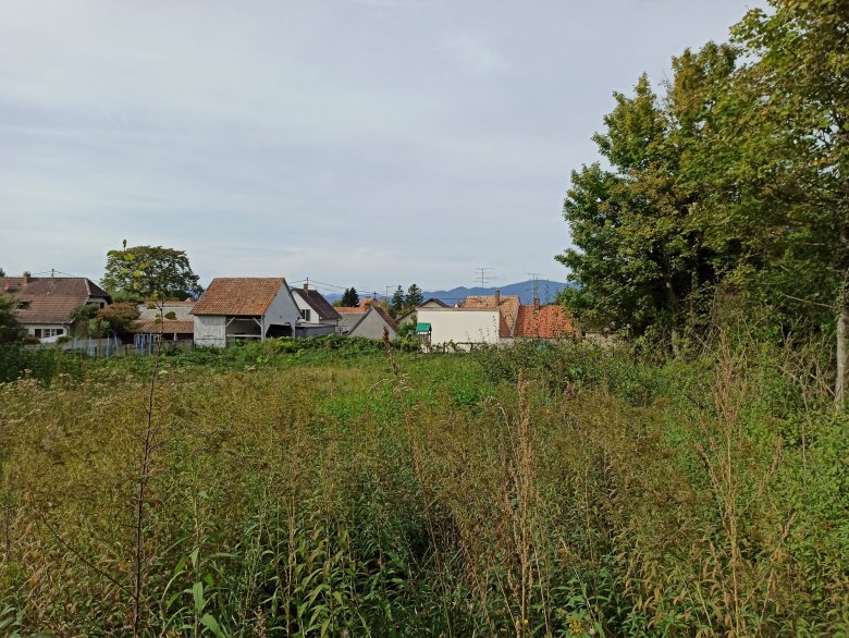 devenir propriétaire d'une maison neuve