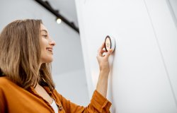 iStock-1193453572