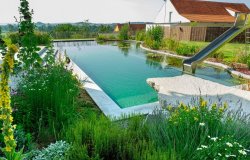 Piscine naturelle ou piscine béton. Laquelle choisir pour 2025.