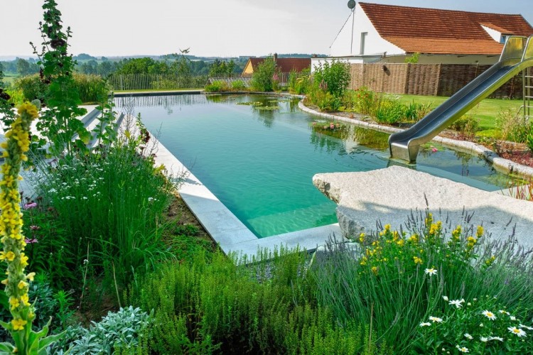 piscine naturelle, baignade bio