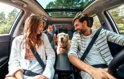 iStock-1344954298