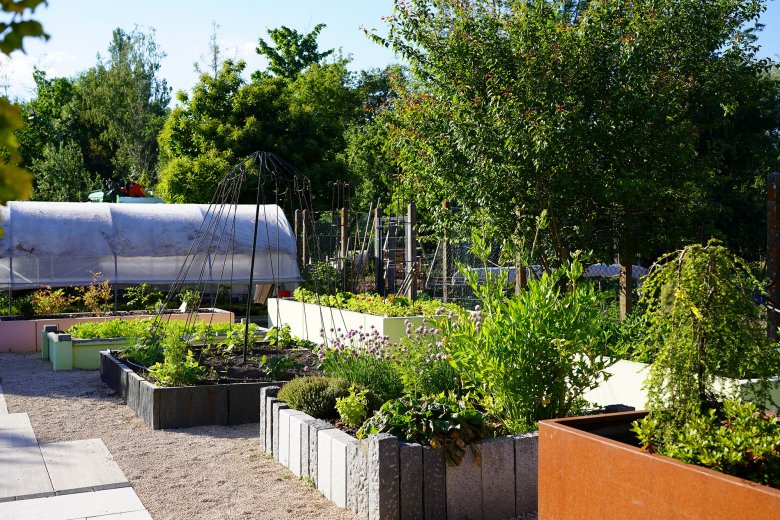 BAC POTAGER? JARDINI, RE, JARDIN, économique