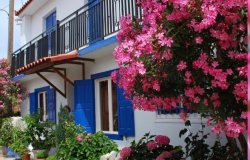 Quelles plantes choisir en plein soleil dans vos jardins, terrasses, balcon. Résistant au soleil.. La sélection des plantes résistantes au soleil cet été