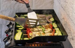 plancha gaz