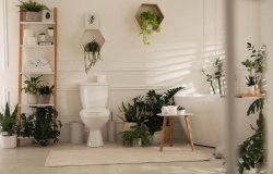 touche-plante-verte-salle