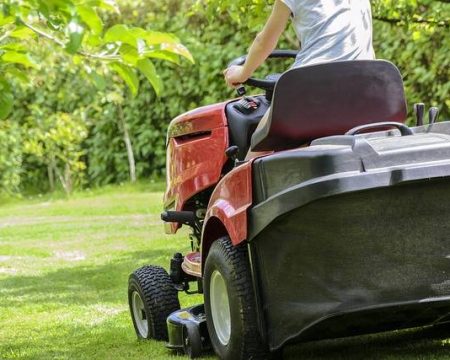 peut on tondre un jour férié ou un dimanche. Que dit la loi