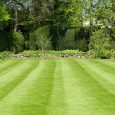 COMMENT CHOISIR UN BON PAYSAGISTE A NEUF BRISACH COLMAR