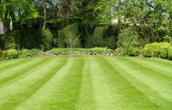 COMMENT CHOISIR UN BON PAYSAGISTE A NEUF BRISACH COLMAR