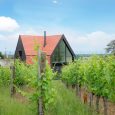 COUVREUR ZINGEUR NEUF BRISACH