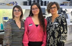 magasin d 'optic proche de neuf brisach