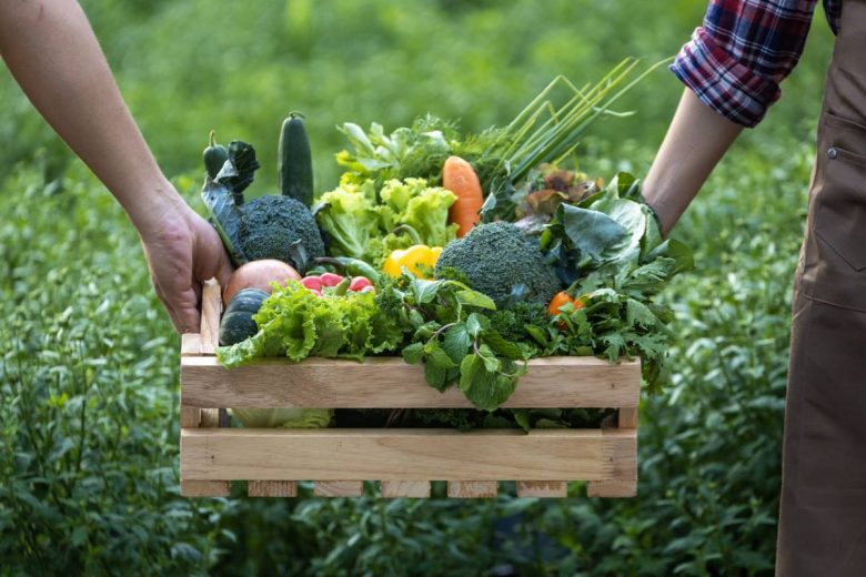 ferme bio fruits et legumes