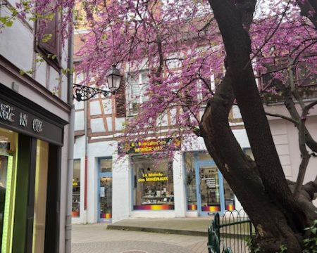photo magasin