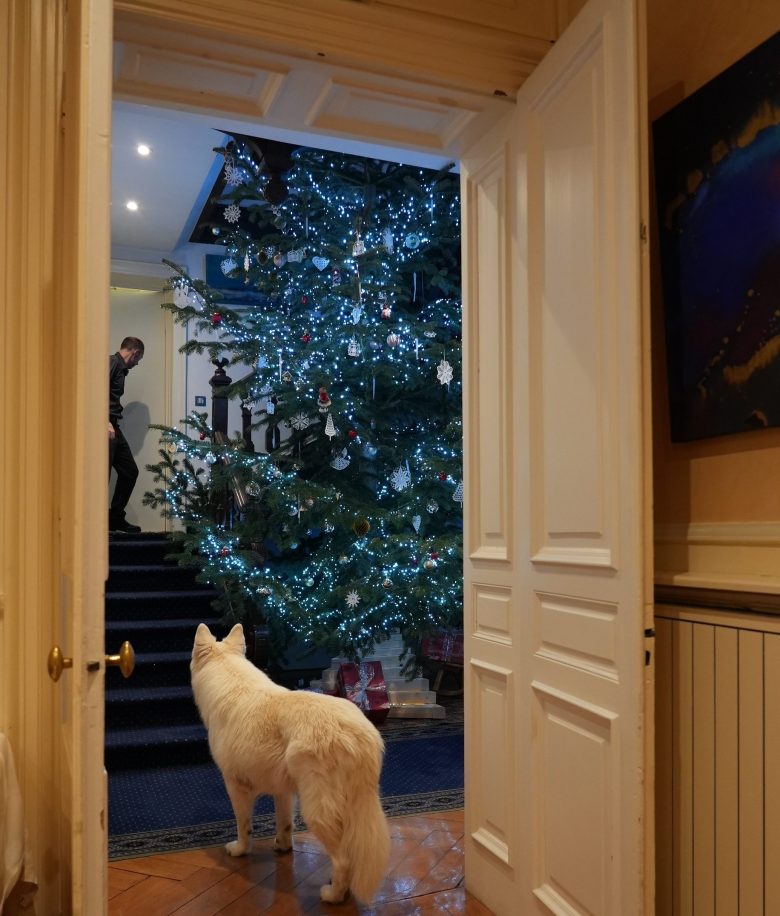 decoration sapin de noel alsace tradition