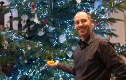 sapin de noel alsace decoration