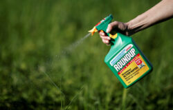 GLYPHOSATE POUR LE PARTICULIER EST CE AUTORISE