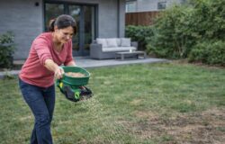 semer_gazon_maison_web