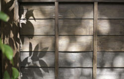 brise-vue-jardin