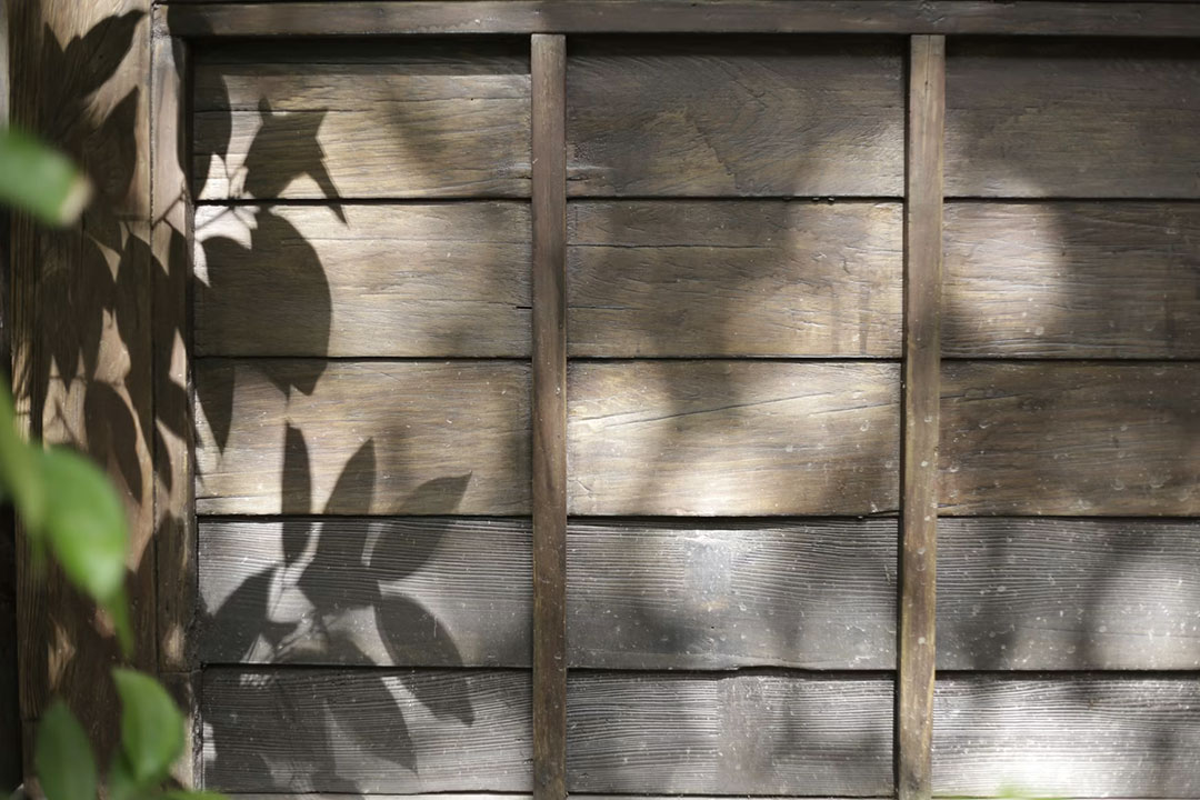 Brise-vue de jardin : les vraies différences entre canisse, haie ...