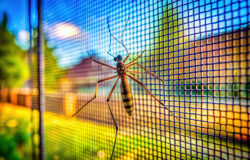 NEOFEN PROTECTION CONTRE LES INSECTES DANS LA MAISON