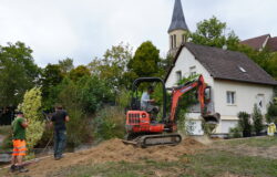 plantation schlierbach