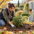 Planter un arbuste en automne (1)